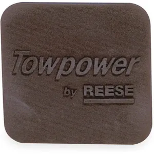 REESE 700061142 Hitch Box Cover 2 Inch Black | AB4GFT 1XUA9