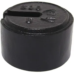 RICE LAKE 10160 Calibration Weight 500 x 5 Lb. Painted | AA6YYZ 15F144