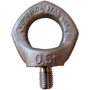 RUD CHAIN 7993835 Hoist Ring 0 Pivot 1100 Lb.load Capacity | AE9TAG 6LYA8