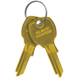 SALSBURY INDUSTRIES 3599 Schlüsselrohlinge für vertikale Briefkästen, 5 Stück, 50 Stück | AH3RPD 33KN57