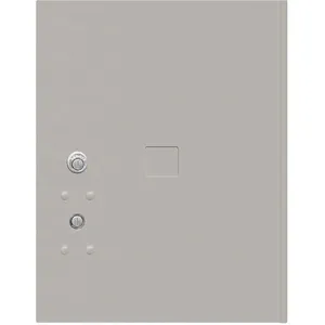 SALSBURY INDUSTRIES 3455P-GRY Replacement Door/Lock for Mailbox PL5 Gray | AH3RTK 33KR07