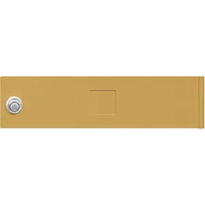 SALSBURY INDUSTRIES 3751GLD Replacement Door/Lock for Horizontal Mailbox MB1 Gold | AH3RPY 33KN79