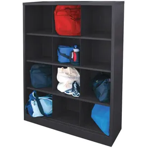 SANDUSKY LEE IC00461866-09 Cubbie Cabinet Black 46 Inch Width x 18 Inch Depth x 66 Inch Height | AH9AJW 39EY48