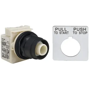 SCHNEIDER ELECTRIC 9001SKR8P35 Illuminated Push Button Operator 30mm | AG6RBZ 45J149