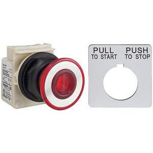 SCHNEIDER ELECTRIC 9001SKR9P1 Illuminated Push Button Operator 30mm | AG6RCD 45J153
