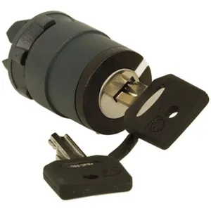 SCHNEIDER ELECTRIC ZB5AG612 Selector Switch Non-illuminated Keyed | AG6VBK 48K829