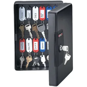 SENTRY SAFE KB-25 Key Box Wall Mount Steel Gloss Black | AB8VWW 29RV64