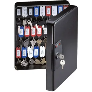 SENTRY SAFE KB-50 Key Box Wall Mount Steel Gloss Black | AB8VWV 29RV61