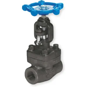 SHARPE VALVES SV44834TE014 Globe Valve Class 800 1-1/2 Inch Fnpt | AB2YCC 1PRL4