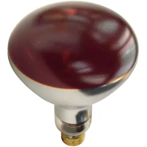 SHAT-R-SHIELD 250R40/HT/RED Incandescent Heat Lamp 250 Watt Red | AH3BEA 30ZX22