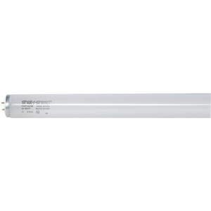 SHAT-R-SHIELD 43548S Fluorescent Linear Lamp T8 Cool 4100k | AF6ANR 9UCN5
