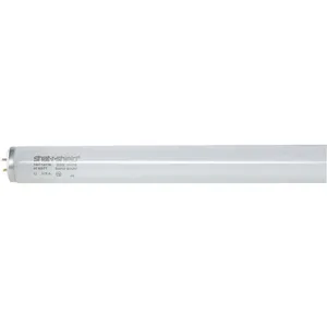 SHAT-R-SHIELD 43548S Fluorescent Linear Lamp T8 Cool 4100k | AF6ANR 9UCN5