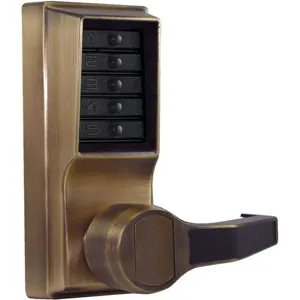 SIMPLEX LR10310541 Push Button Lock Entry Passage Brass | AH3FUW 31NG85