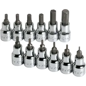 SK PROFESSIONAL TOOLS 19722 Socket Bit Set 3/8 Inch Drive 12 Pc | AB4YKH 20K467