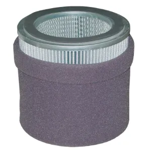 SOLBERG 375P Filter Element Polyester 5 Microns | AD2QRL 3TLJ5