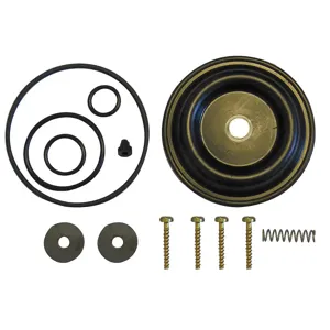 SOLO SPRAYER 0610406-K Diaphragm Pump Repair Kit | AC9RFG 3JEK9