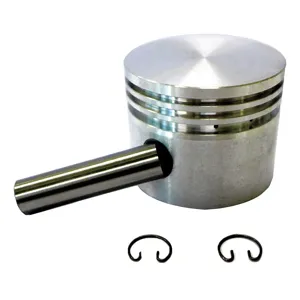 SPEEDAIRE PN22N044G Piston Set | AG9DNV 19NA91