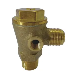 SPEEDAIRE PN22N093G Check Valve | AG9DQM 19NC41