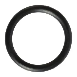 SPEEDAIRE TT2041102021000G O-Ring PK4 | AH9XPG 45N863