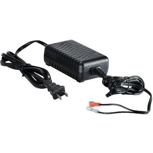 SPEEDCLEAN CJ2-25 Battery Charger With Lugs for CJ-125, 12 VDC | AH2KWZ 29JA04