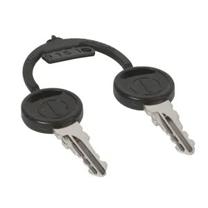 TENNANT 1017696 Ignition Key - Pack Of 2 | AA4EKB 12H353