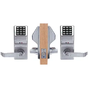 TRILOGY DL5300IC26D Double Sided Digital Lock Weatherized | AB7ZGQ 24U103