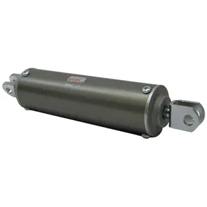 VELVAC 100123 Air Cylinder Air 2-1/2 Inch Bore Clevis | AG9PHM 21DH70