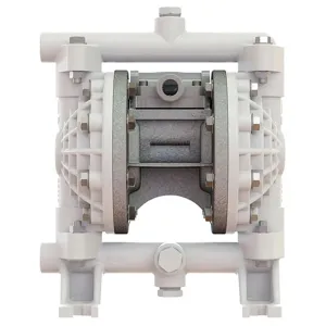 VERSA-MATIC E5PP6X669C Diaphragm Pump 11 Gpm 100 Psi | AF6XBR 20LR23