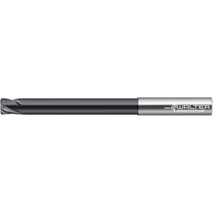 WALTER TOOLS H8095919-4-20 Solid Carbide End Mill 0.16mm Diameter Center Cut | AG3ALA 32PX55