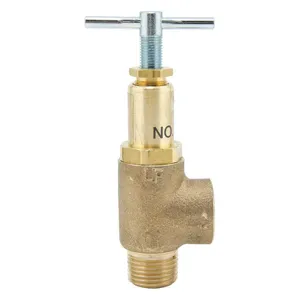 WATTS 0006267 Bypass Control Relief Valve 250 psi | AH6VYV 36JC10