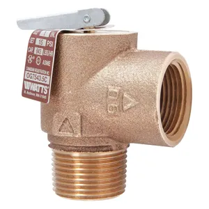 WATTS 0006277 Steam Safety Relief Valve 3-1/8 inch | AH6VYZ 36JC14