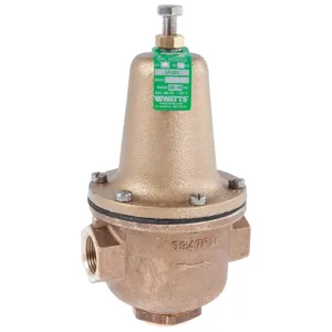 WATTS 1/2 LF 223 Water Pressure Reducing Valve 1/2 Inch | AE3JFG 5DMC1