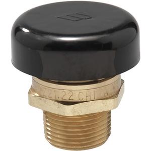 WATTS 1/2 LF N36 Vacuum Relief Valve 1/2 Inch Up To 200 Psi | AE3JEW 5DLZ3