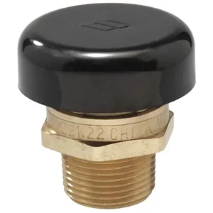 WATTS 1/2 LF N36 Vacuum Relief Valve 1/2 Inch Up To 200 Psi | AE3JEW 5DLZ3