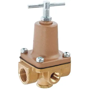 WATTS 1/4 LF263A 10-125 Water Pressure Regulator Valve 1/4 Inch | AB8QWU 26X103