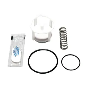 WATTS 909 3/4 - 1 1st Check Kit Repair Kit Series 909 3/4 To 1 In | AE8FCT 6CUJ6