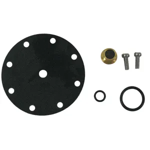 WATTS CP15RK Pilot Rebuild Kit For Use With AE7UER | AE7UEU 6AKX1