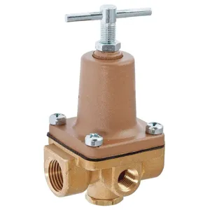 WATTS LF263A 50-175 Pressure Regulator 1/4 FNPT x FNPT | AH2NGH 29YL67