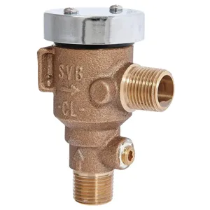 WATTS LF289-1/2 Atmospheric Vacuum Breaker, Male Thread, NPT, Size 1/2 Inch, Brass | AF9FCU 29YL83