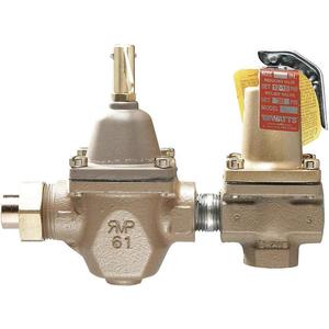 WATTS S1450F Fill And Relief Valve 1/2 Inch 30 Psi Iron | AG6RJG 46A979