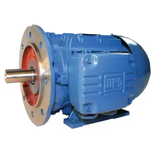 WEG 02218ET3Y180LFF-W22 Metric Motor, 30Hp, 230/460v Cw / Ccw | AA2GET 10G898