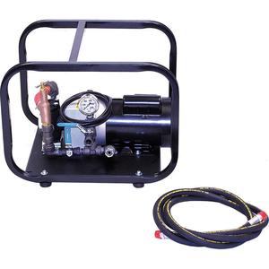 WHEELER-REX 35100 Test Pump Electric Twin Piston 1hp | AE8XQA 6GDV7