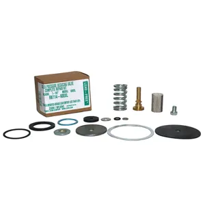 WILKINS RK114-600XL Repair Kit 1-1/4 Inch Use With AB6WLB | AB6WLH 22N579