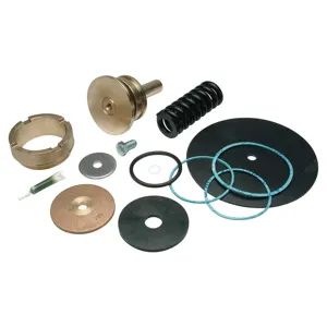 WILKINS RK3-500XL Repair Kit Reduce Valve 3 In | AD6KQF 45K841