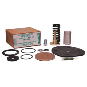 WILKINS RK2-600XL Repair Kit 2 Inch Use With AB6WLD | AB6WLK 22N581