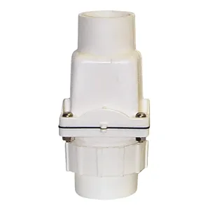 ZOELLER 30-0103 Check Valve With Union Pvc 2 Inch | AE3FHM 5CZH2