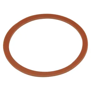 ZURN P1175-GASKET Gasket Rubber | AF9AGW 29RP51