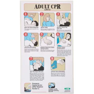 ACCUFORM SIGNS 197717 First Aid Poster 19-1/2 x 11in | AF2YNT 6ZDL9