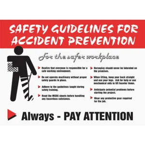 ACCUFORM SIGNS PST211 Poster Safey Guidelines For 18 x 24 Inch | AC4WXJ 31A026