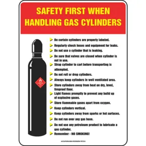 ACCUFORM SIGNS PST318 Safety Poster 24 x 18 Inch Flex Plastic Eng | AD2TFP 3TZE3